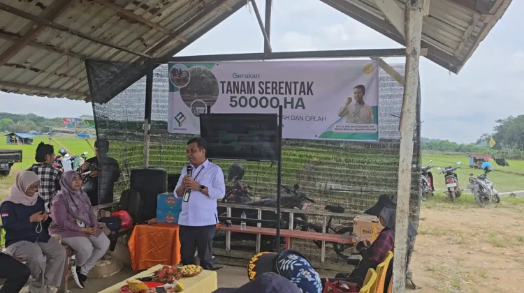 Pertanian Kalimantan Timur Tinggalkan Cara Lama, Teknologi Jadi Penentu Produksi