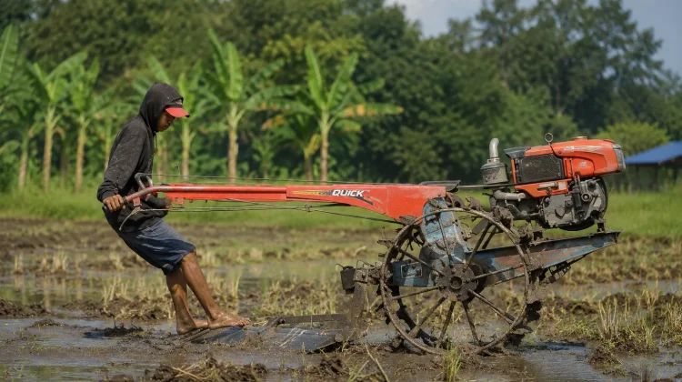 Brigade Pangan Jadi Wajah Baru Regenerasi Petani di Kaltim