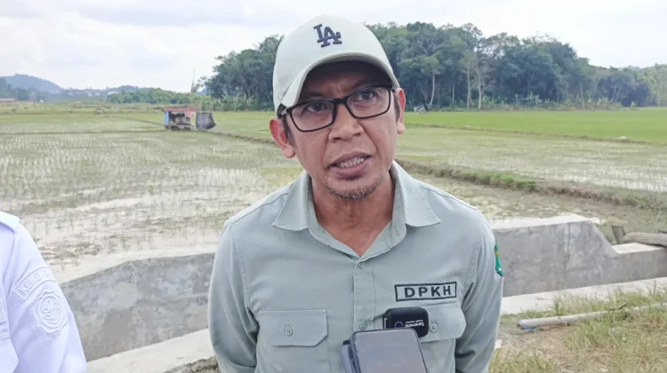 Kaltim Masih Defisit Beras, Produksi Lokal Dikejar di Tengah Pertumbuhan IKN