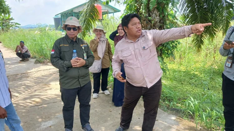 Kementerian Pertanian Targetkan 6.500 Hektare Cetak Sawah di Kukar