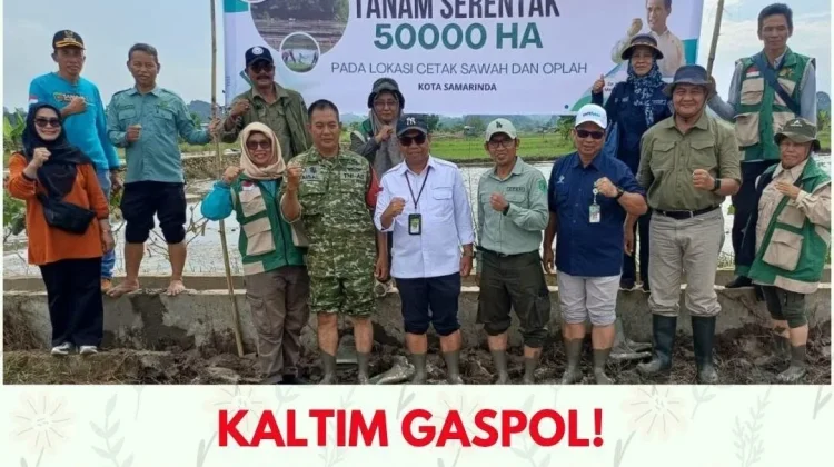 Gerakan Tanam Nasional 50.000 Hektare, Kaltim Perkuat Ketahanan Pangan