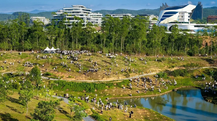 1.200 Pohon Ditanam oleh 1.000 Peserta di Ibu Kota Nusantara Memperingati Hari Konse