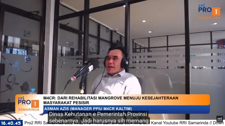 M4CR Bangun Ketahanan Pesisir lewat Rehabilitasi Mangrove