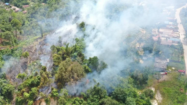 Cuaca Panas Picu Kebakaran Lahan Tiga Hektare di Kukar