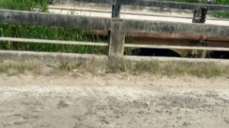 Warga Minta Perbaikan Jembatan Makroman dan Handil Kopi Diprioritaskan