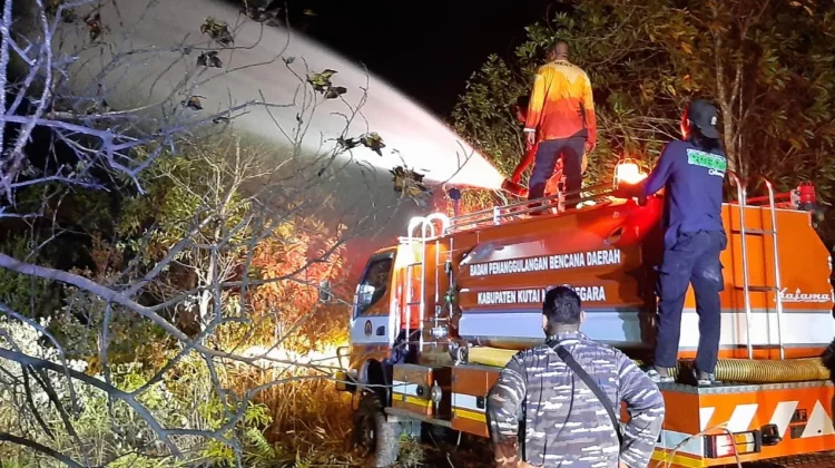 Karhutla Hanguskan Dua Hektare Lahan di Muara Badak