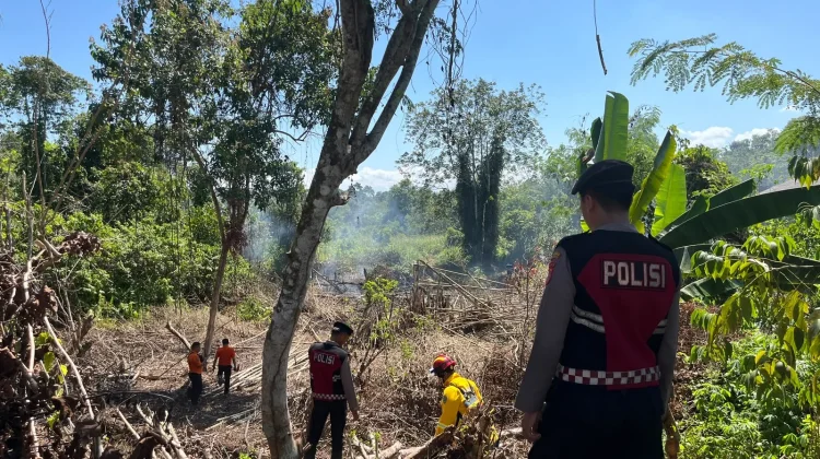 Call Center 110 Percepat Penanganan Kebakaran Lahan di Penajam