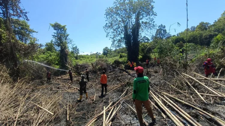 Tim Gabungan Padamkan Karhutla Dekat Islamic Center PPU dalam Waktu Kurang Sejam