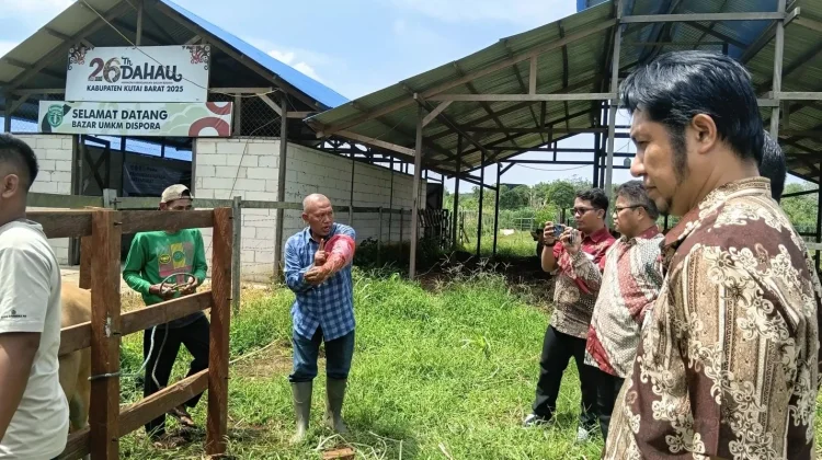 Tingkatkan Inseminasi Buatan, Unmul Perkuat Kapasitas Peternak di Kutai Barat