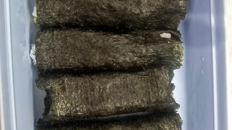 Ide Bekal Sekolah Praktis: Nasi Telur Gulung Nori, Menu Sehat dan Bergizi untuk Anak
