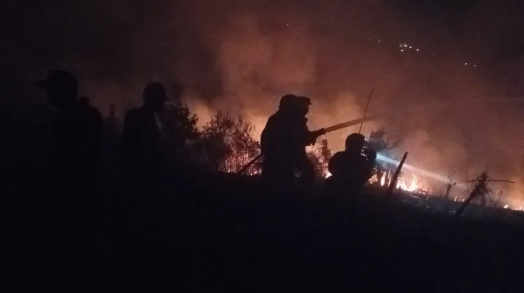 Karhutla di Area PT Badak LNG Bontang Berhasil Dipadamkan
