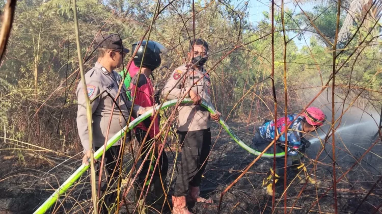 Kebakaran Lahan Dua Hektare di Girimukti Berhasil Dipadamkan Tim Gabungan