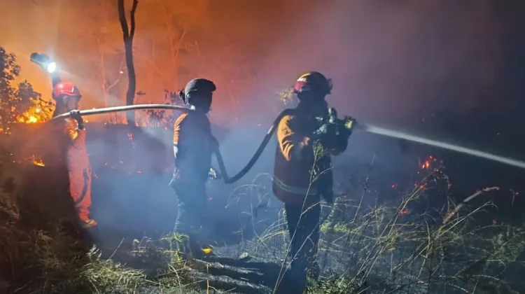 Karhutla Gunung Seteleng Berhasil Dipadamkan, Lahan 0,19 Hektare Terbakar