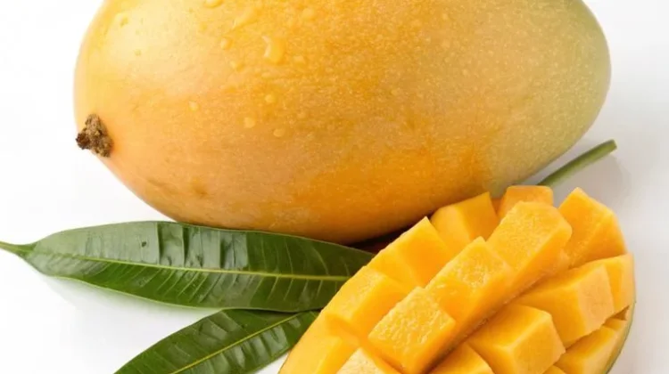 Manfaat Buah Mangga, Kaya Nutrisi Penunjang Kesehatan Tubuh