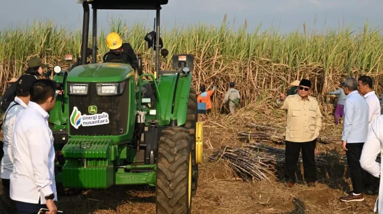 Prabowo Tegaskan Percepatan Program Strategis untuk Wujudkan Indonesia Mandiri