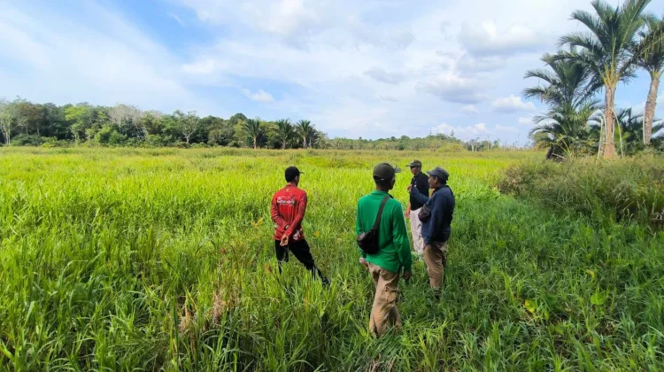 BRMP Kaltim Kawal Cetak Sawah Rakyat di Kutai Barat menuju Swasembada Pangan