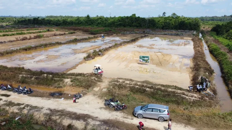 Gerakan Tanam Serempak di Berau Perkuat Langkah menuju Swasembada Pangan