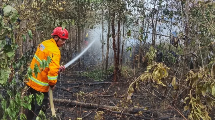 Karhutla Dekati Permukiman, Satu Hektare Lahan Terbakar di Paser