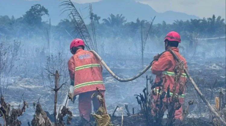 Karhutla di Teluk Bayur Berau Hanguskan Kebun Milik Warga