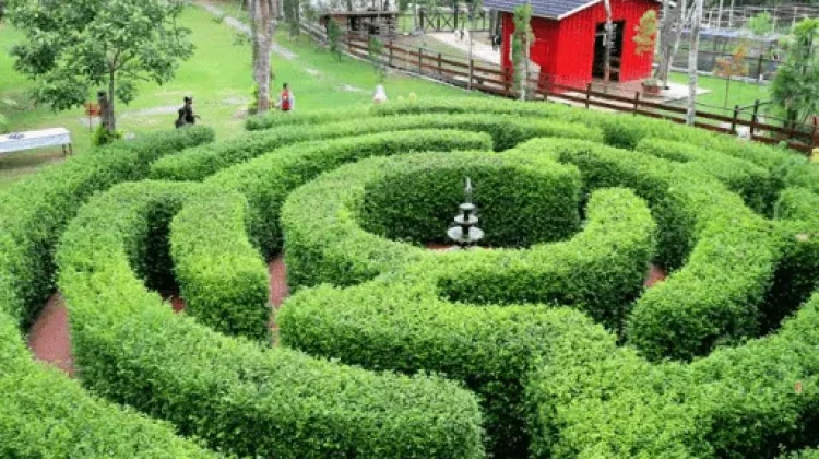 Mengenal PUTRI Samarinda: Taman Rekreasi Tidak Hanya Selalu Tentang RTH