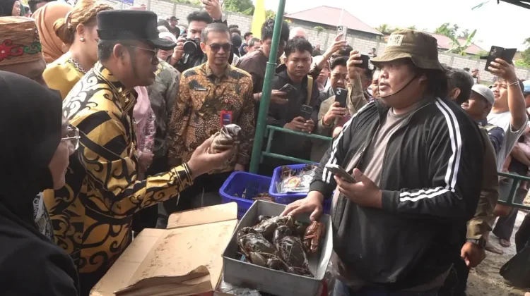 Gerakan Ikan Murah Berau Permudah Akses Protein Bergizi untuk Masyarakat