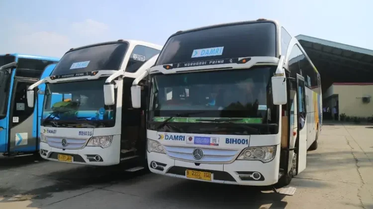 Halo RRI: Damri Didesak Sediakan Armada Lebih Layak