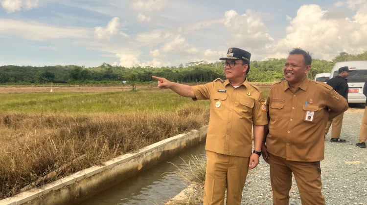 Wawali Balikpapan Sidak Kawasan Pertanian, Pacu Brigade Pangan Kota