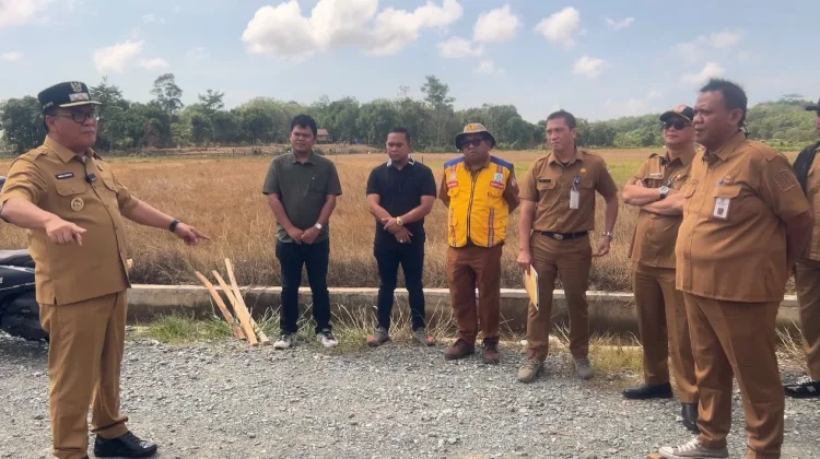 Wawali Balikpapan Sidak Kawasan Pertanian, Pacu Brigade Pangan Kota