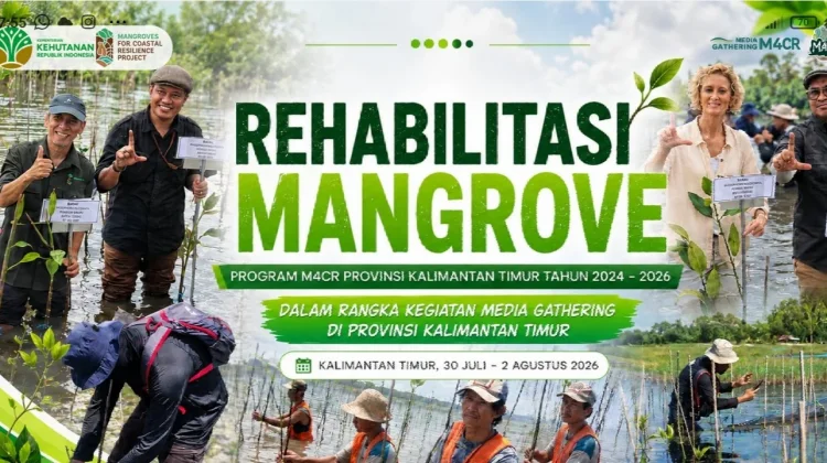 M4CR Targetkan Rehabilitasi 12 Ribu Hektare Mangrove di Kaltim