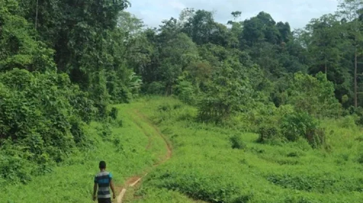 Mahasiswa Unmul Teliti Kampung Adat Mului Jaga Kelestarian Hutan Kalimantan