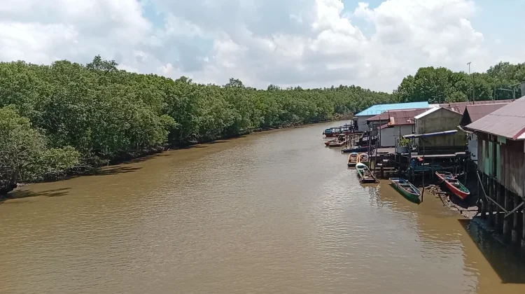 M4CR Dorong Desa Sepatin Jadi Kawasan Ekowisata Mangrove Kaltim