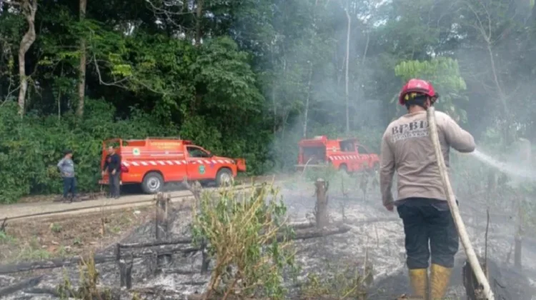 Karhutla Hanguskan Setengah Hektare Lahan di Barong Tongkok