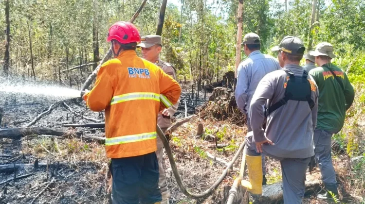 Kebakaran Lahan Dekati Permukiman, BPBD Paser Bergerak Cepat