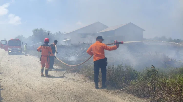 Kebakaran Lahan dan Limbah Sabut Kelapa Berhasil Dipadamkan di Saloloang