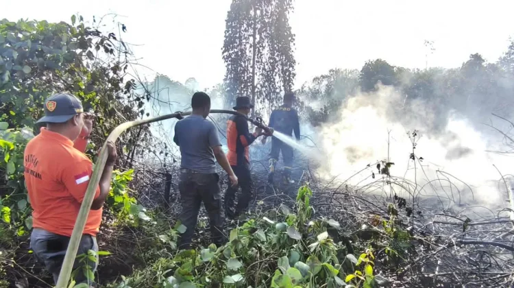 Api Lahap Dua Hektare Lahan di Pasir Belengkong, Pemadaman Terkendala Angin