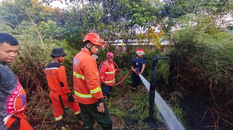 BPBD PPU Pastikan Karhutla di Nenang Tak Sisakan Titik Api