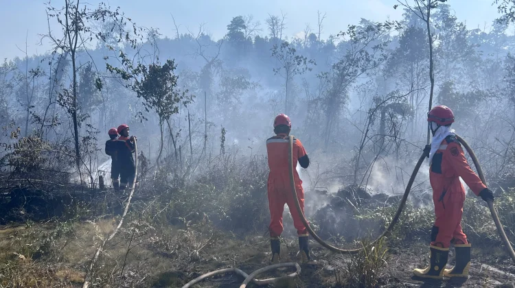Cuaca Panas dan Angin Kencang Picu Karhutla di Berau
