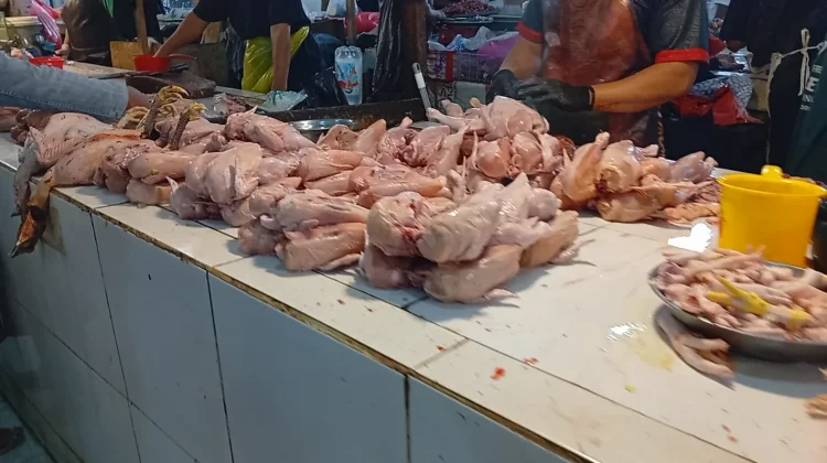 Harga Ayam dan Ikan Naik, Pasokan Tekan Harga Cabai di Samarinda