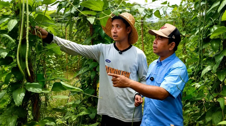 Desa Karang Tunggal Kukar Siapkan Regenerasi Petani, Gandeng Tiga Profesor IPB