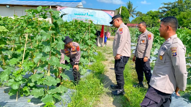 Polres PPU Optimalkan Lahan Melon Dukung Ketahanan Pangan Nasional