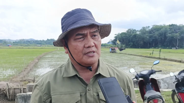 Samarinda Ubah Lahan Eks Tambang Menjadi Kawasan Pertanian Produktif