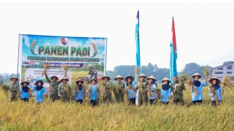 TNI AU Panen 17,5 Ton Gabah, Perkuat Ketahanan Pangan untuk MBG