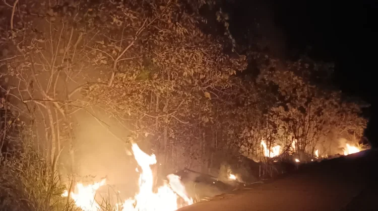 Kebakaran Lahan di Paser Dipicu Semak Kering dan Angin