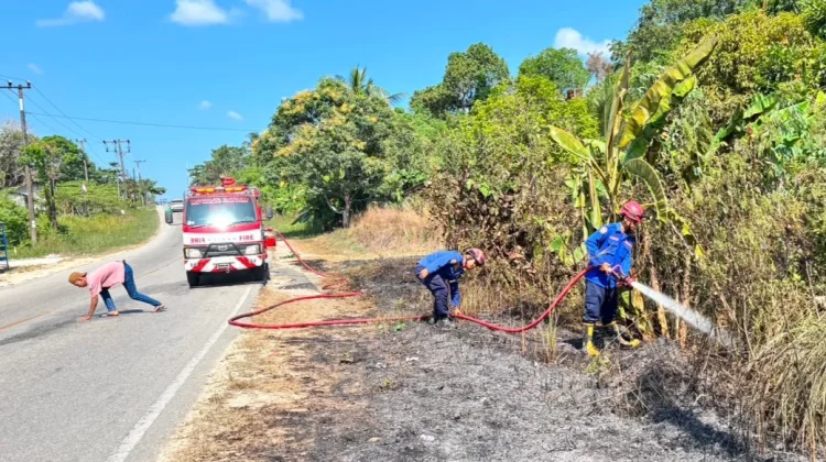Karhutla di Babulu Diduga Dipicu ODGJ, Lahan Warga Terbakar