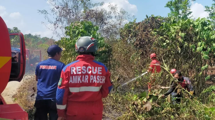Karhutla Hanguskan Satu Hektare Semak Belukar di Muara Komam