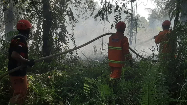 Cuaca Panas Picu Karhutla di Empat Titik Sambaliung