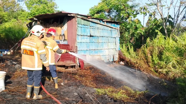 Kebakaran Lahan Melanda Perumahan Taman Sari Balikpapan