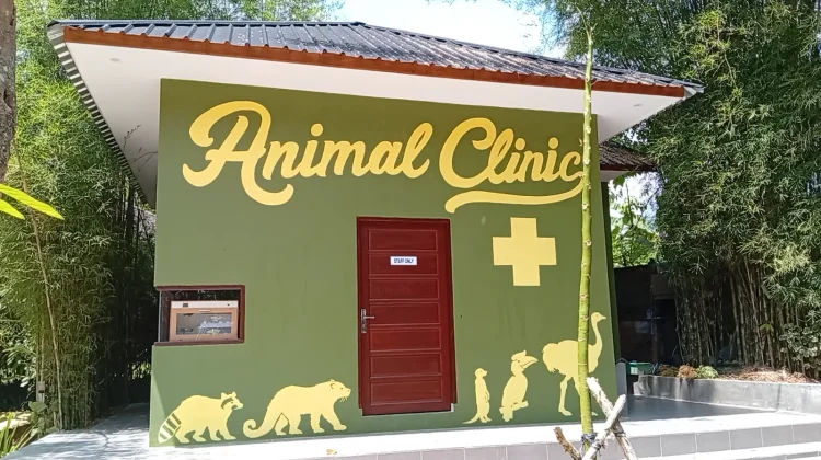 Rumah Ulin Arya Kembangkan Klinik Hewan untuk Konservasi Satwa