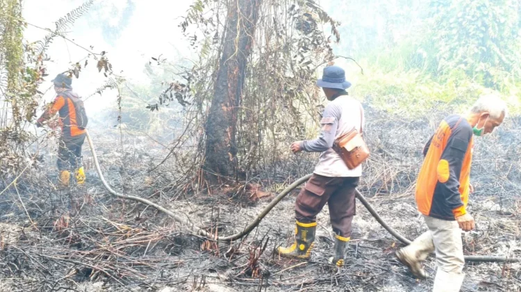 Lima Titik Karhutla Terpantau di Kabupaten Paser