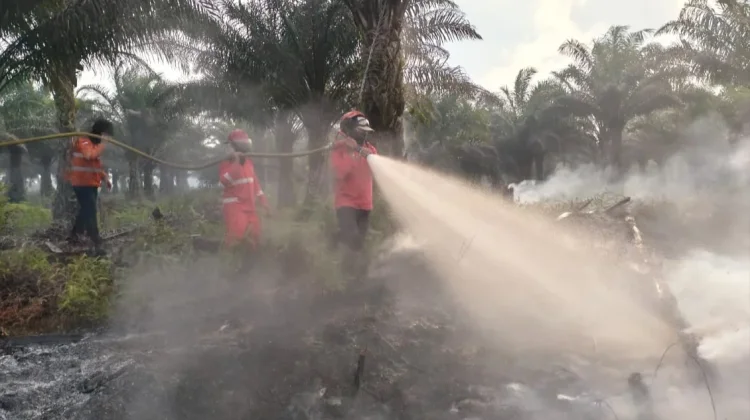 Karhutla Serentak di 13 Titik Melanda Kabupaten Berau
